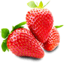 sadenicejahod.sk